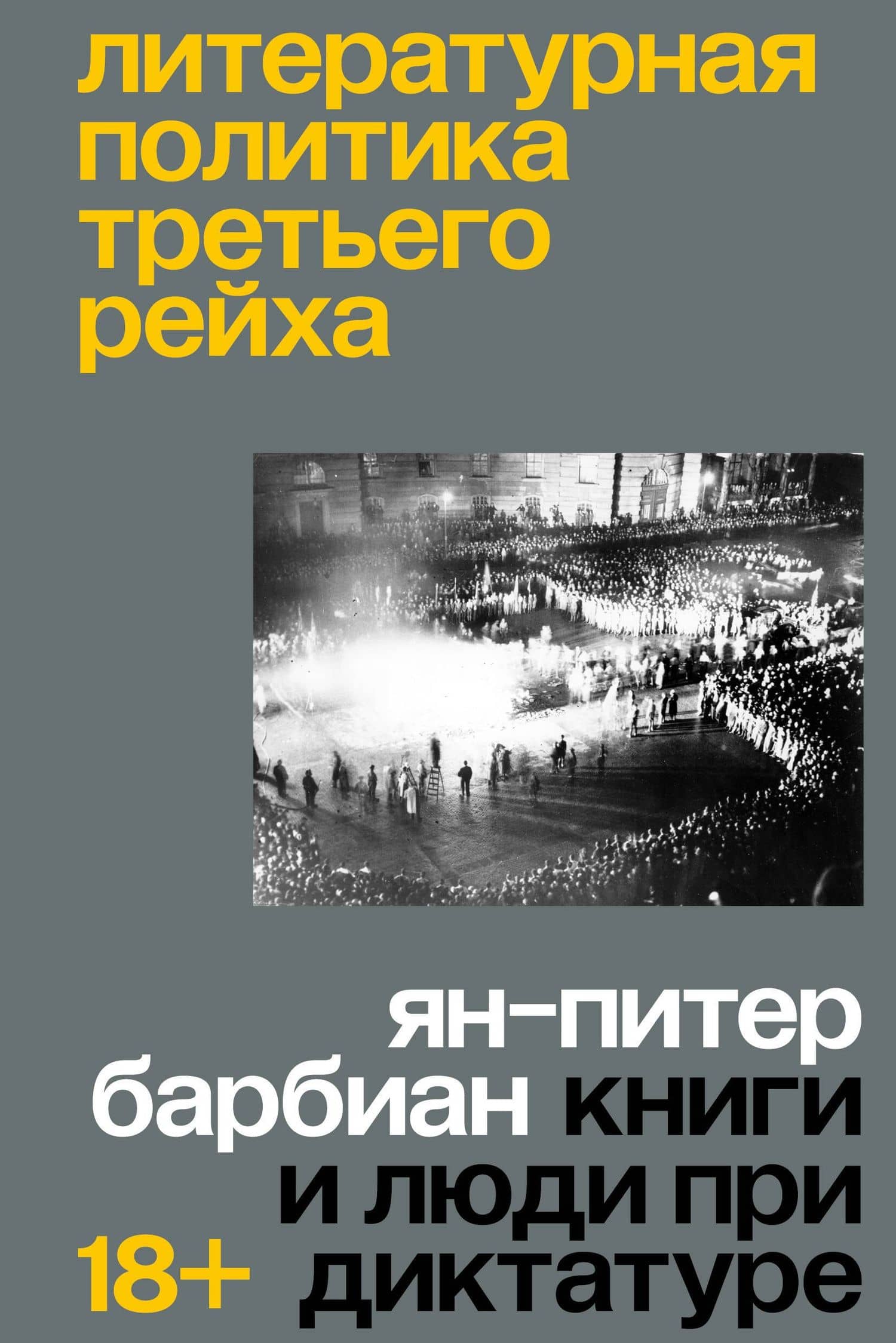 Литературная политика Третьего рейха. Книги и люди при диктатуре — Ян-Питер Барбиэн