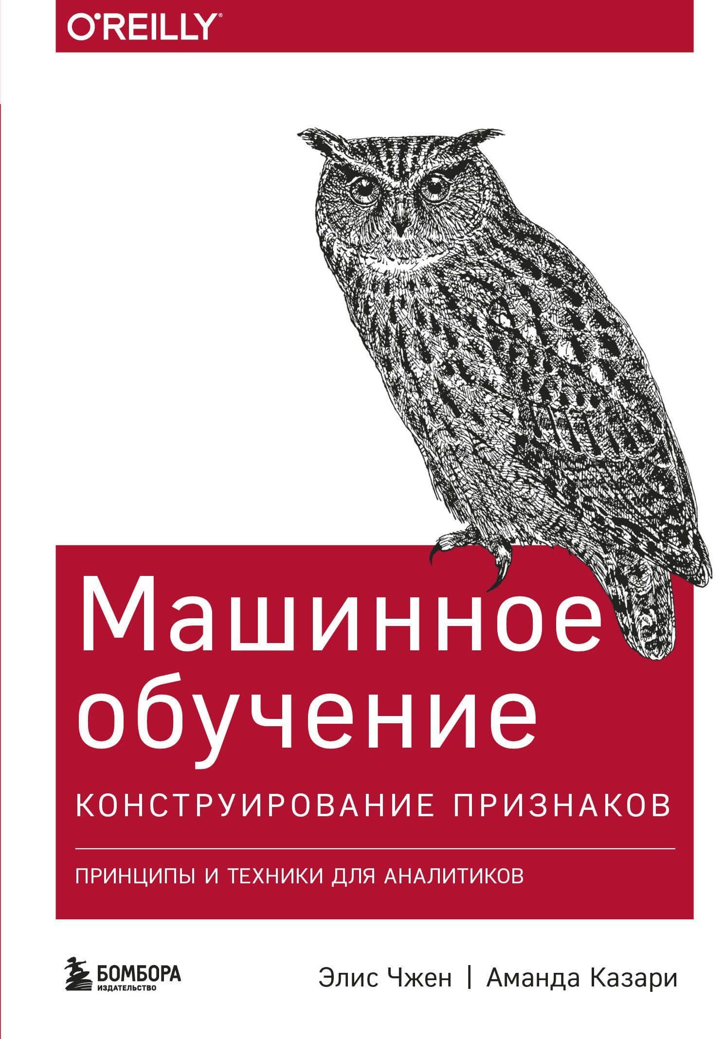 Машинное обучение: Конструирование признаков. Принципы и техники для аналитиков — Аманда Казари