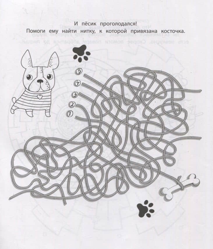 Лабиринты-квесты:много-много приключений,головоломок и запутаниц . — Юлия Сергеевна Саглик (2)