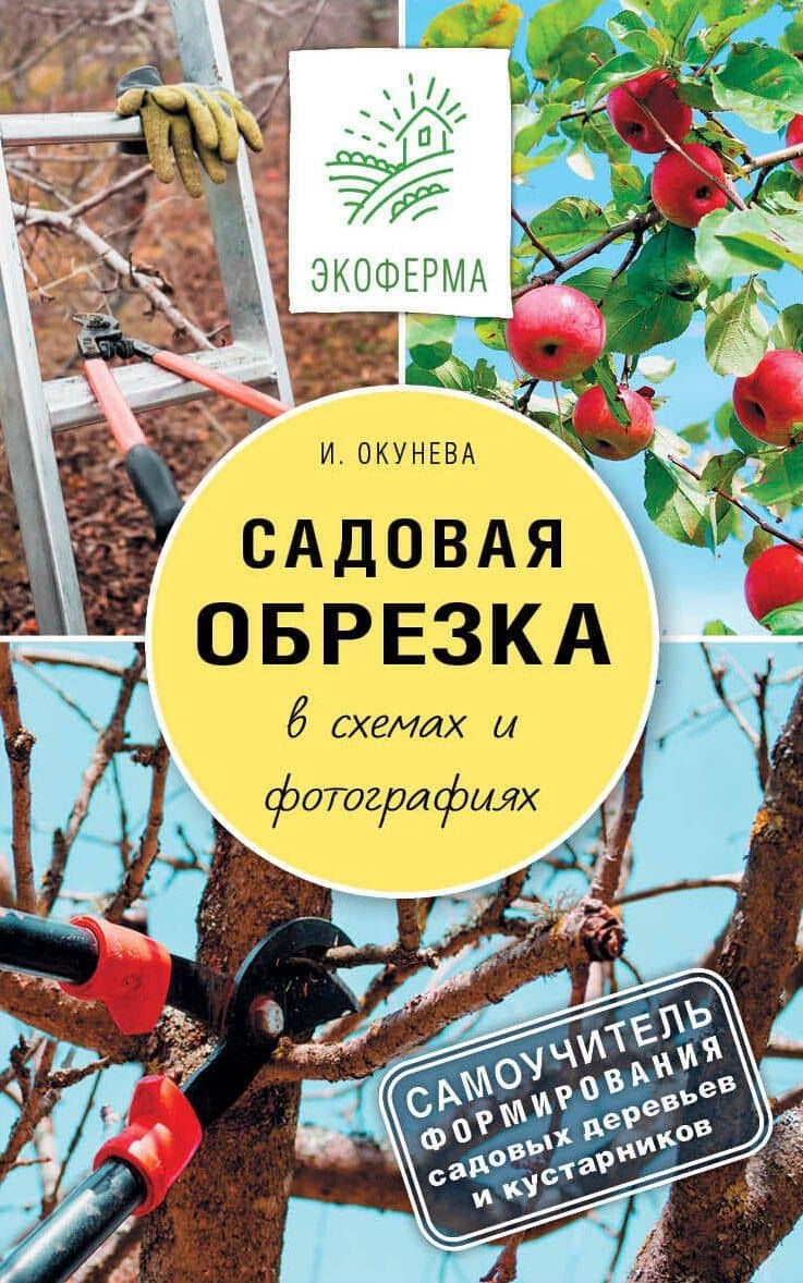 Садовая обрезка в схемах и фотографиях — Ирина Борисовна Окунева