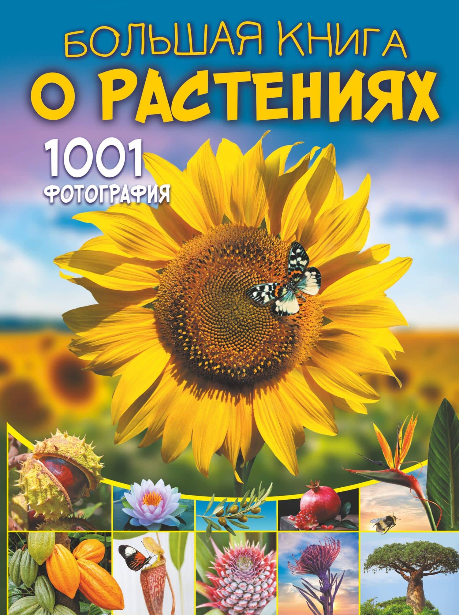 Большая книга о растениях. 1001 фотография — Анна Артуровна Спектор