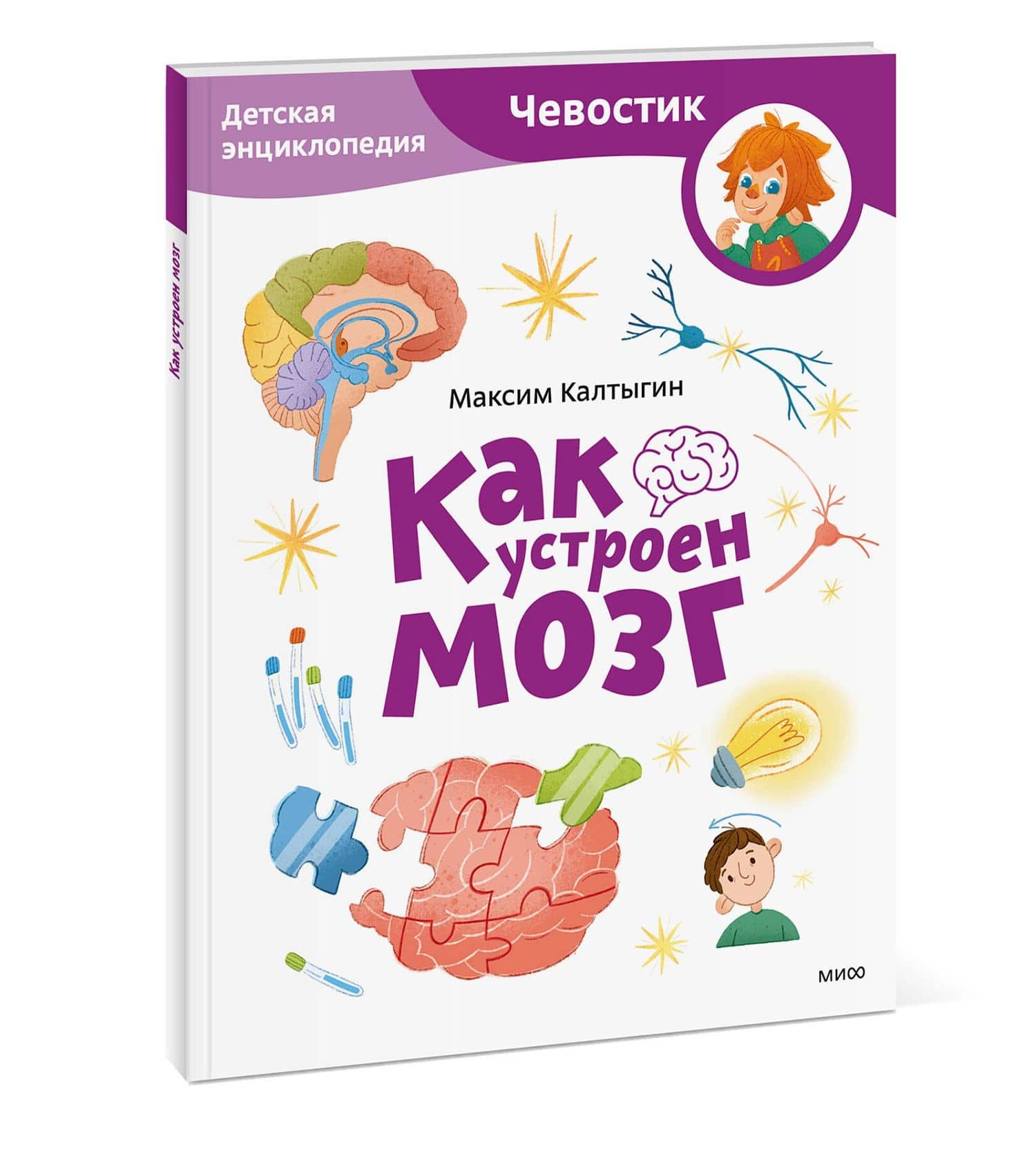 Как устроен мозг. Детская энциклопедия (Чевостик) (Paperback) — Максим Калтыгин (3)