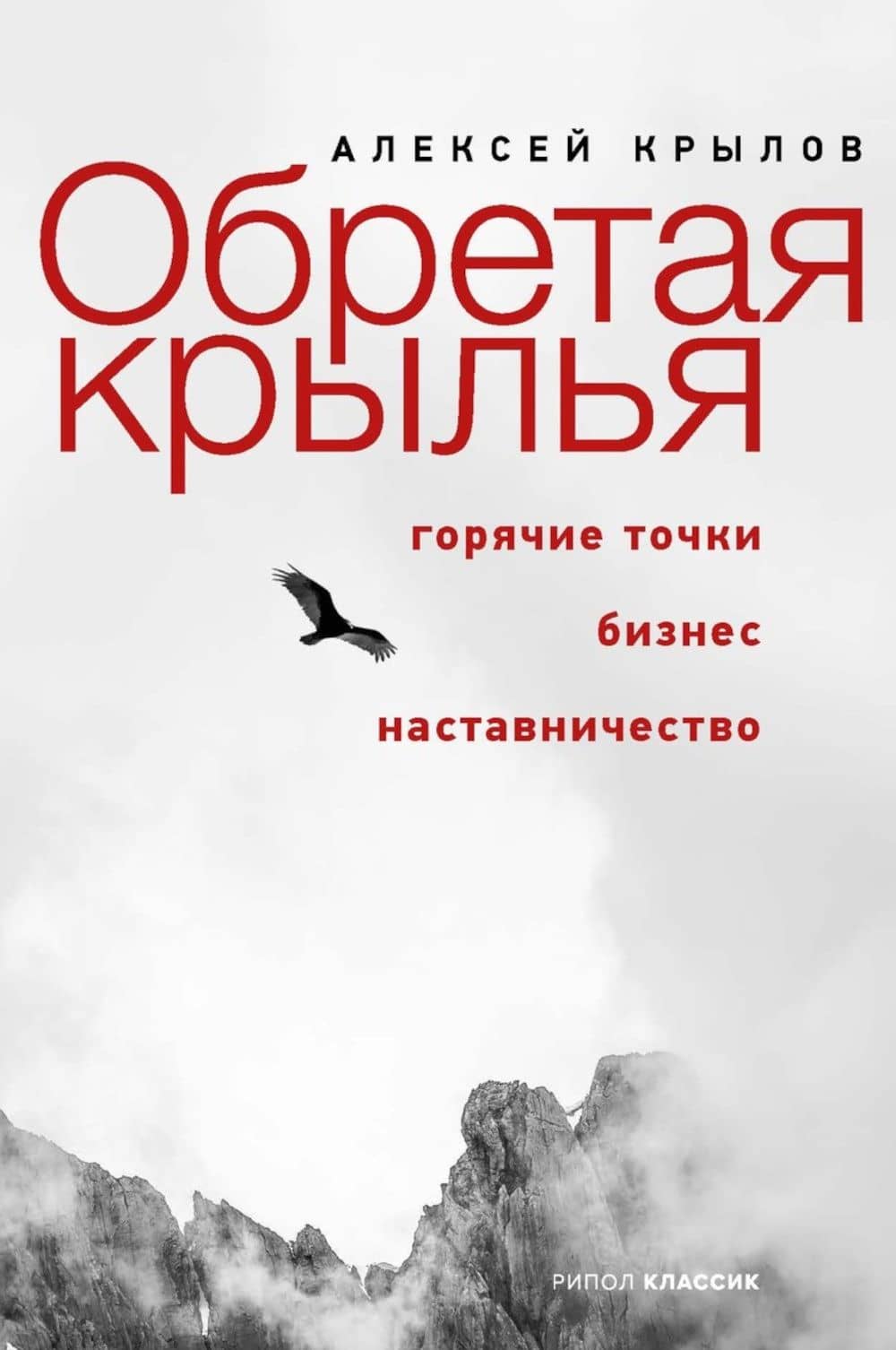 Обретая крылья. Горячие точки. Бизнес. Наставничество — Алексей Викторович Крылов