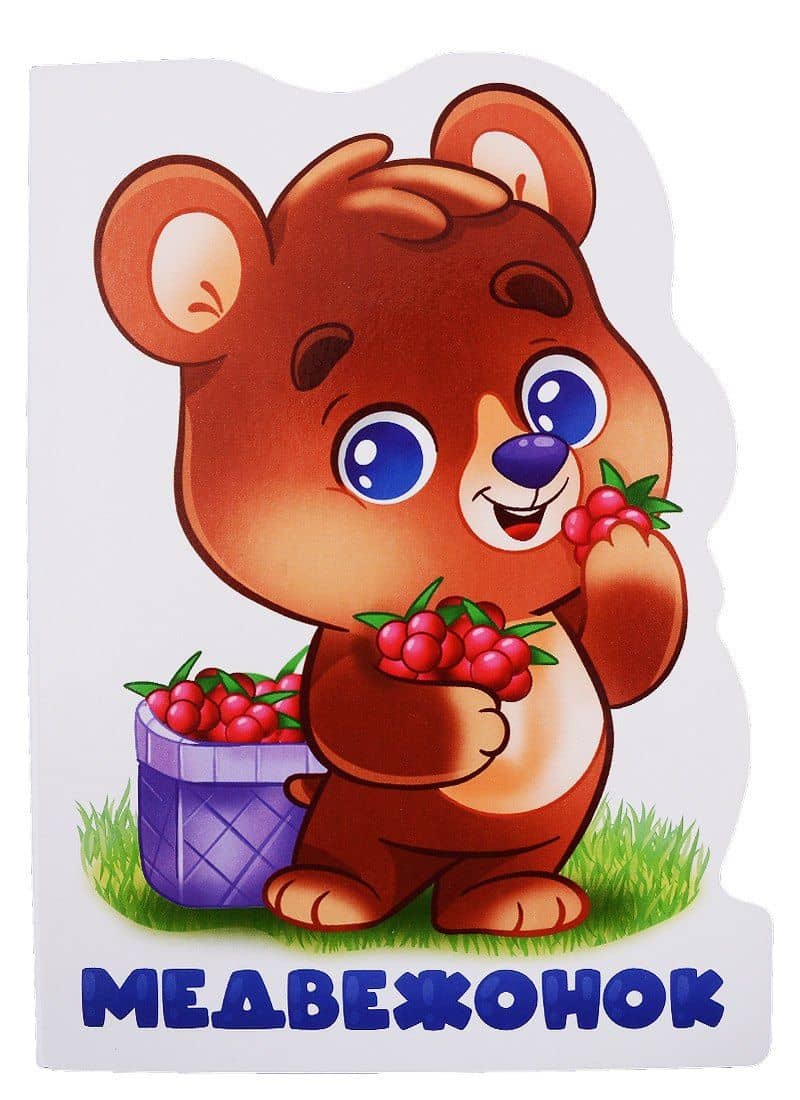 Мадвежонок