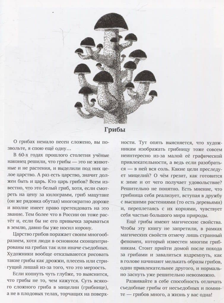 Природоведение (артбук художника) — Павел Назим (2)