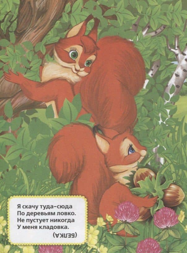 Загадки о животных. Мульткнижка. — Владимир Александрович Степанов (2)