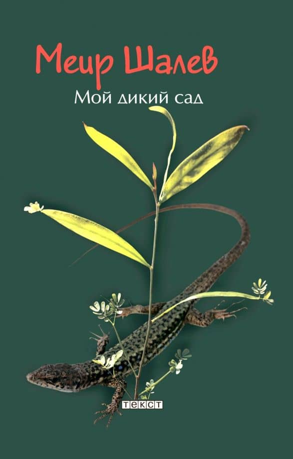Мой дикий сад