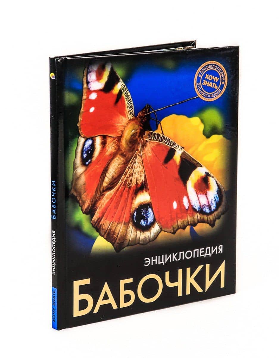 Бабочки. Энциклопедия — Соколова Людмила