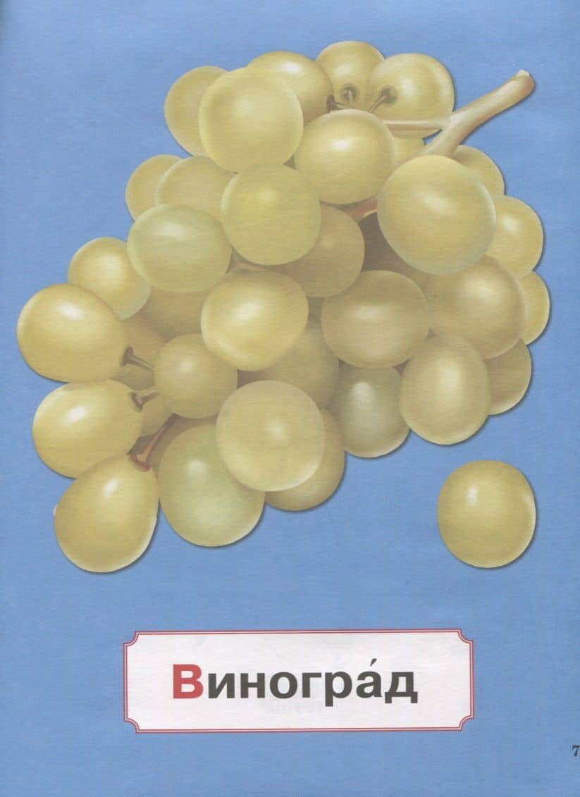 Азбука для малышей (3)