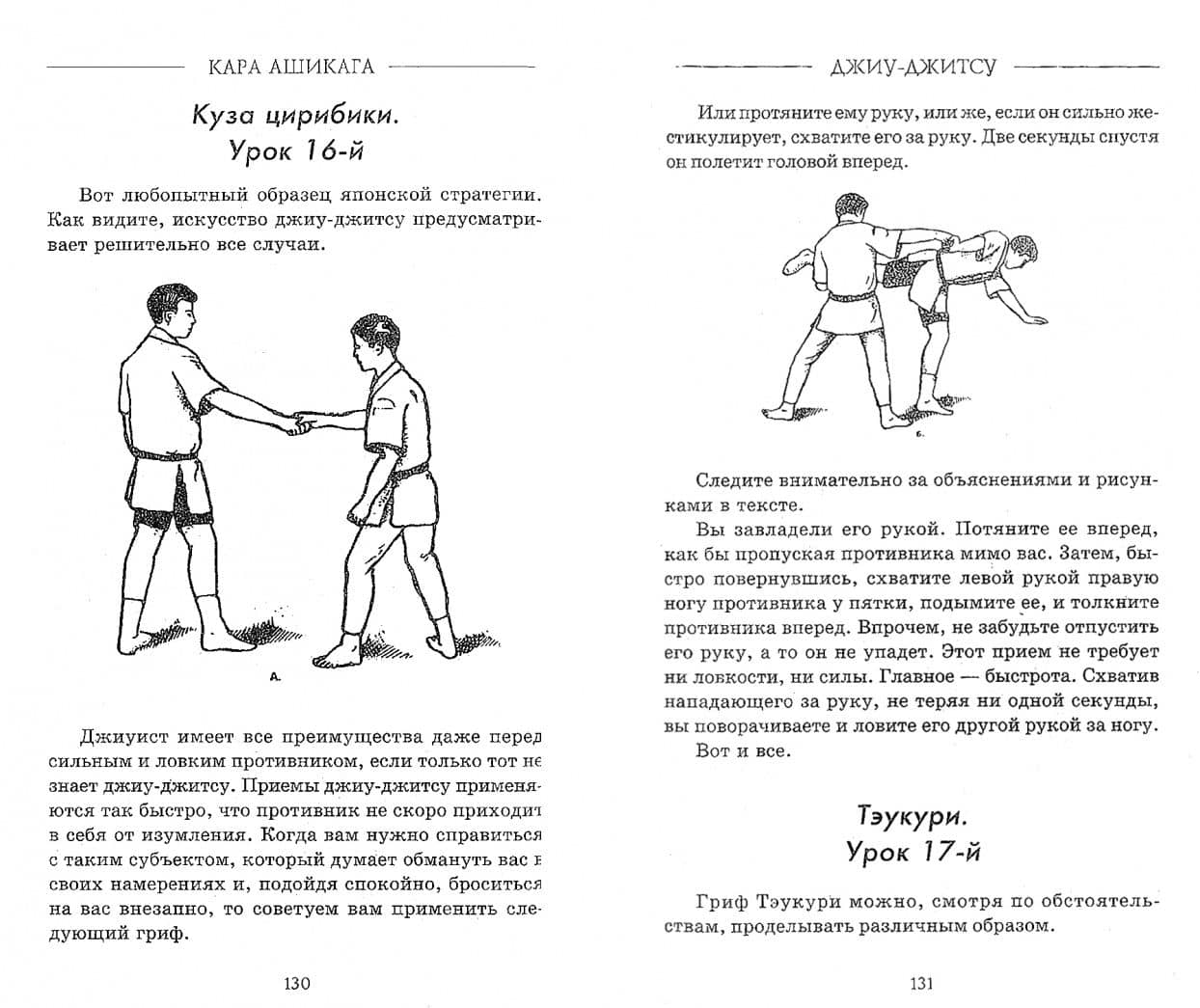 Джиу-джитсу, бокс, сават — Кара Ашикага (2)